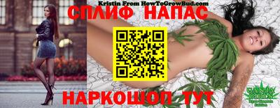 гидропоника Ипатово