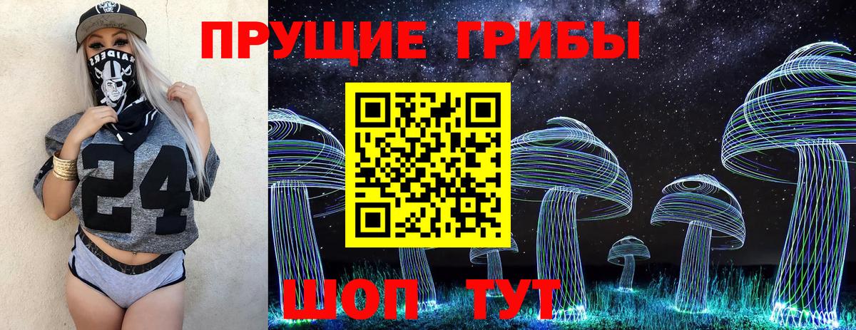 Псилоцибиновые грибы GOLDEN TEACHER Мелеуз