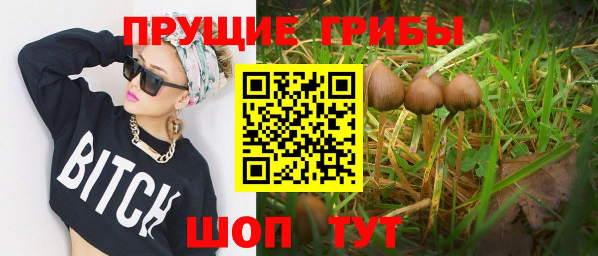 Мелеуз  Галлюциногенные грибы мухоморы  Вход с VPN  Псилоцибиновые грибы Magic Shrooms 